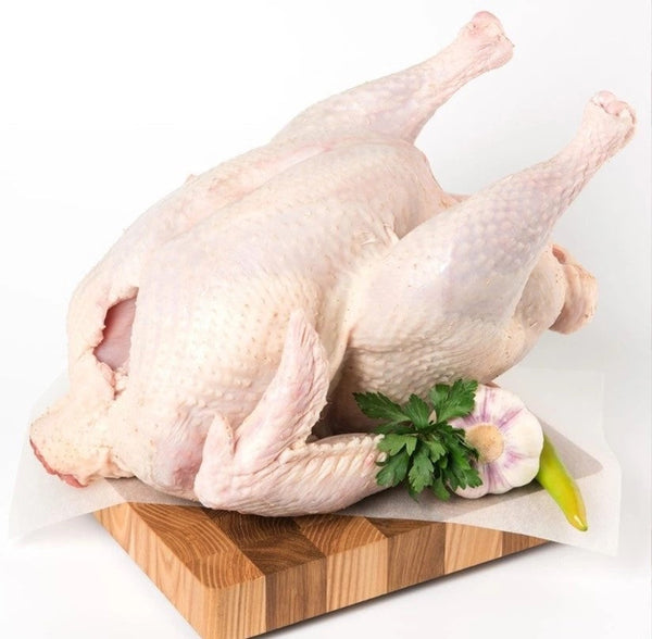 Turkey